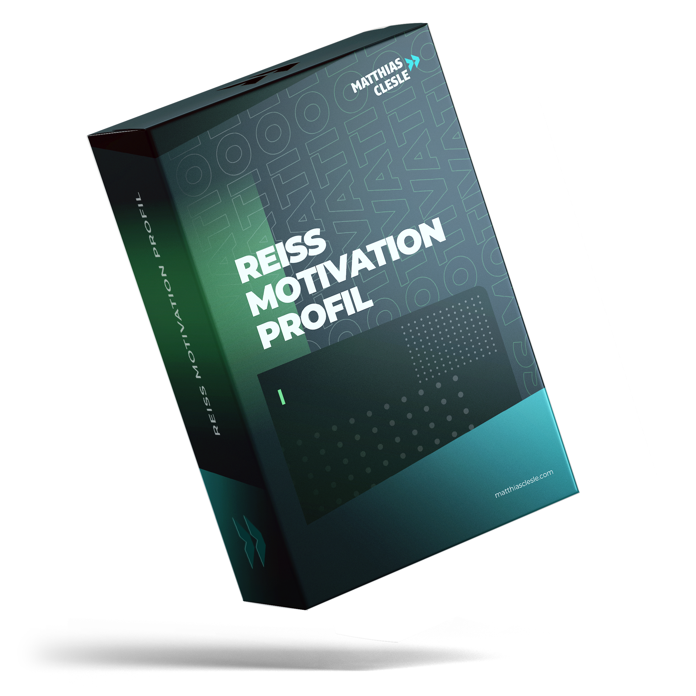 Reiss Motivation Profil